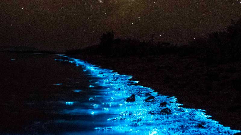 Discover the Best Places to Visit in Udupi: Temples, Beaches, and Hidden Gems 3 mattu beach min
