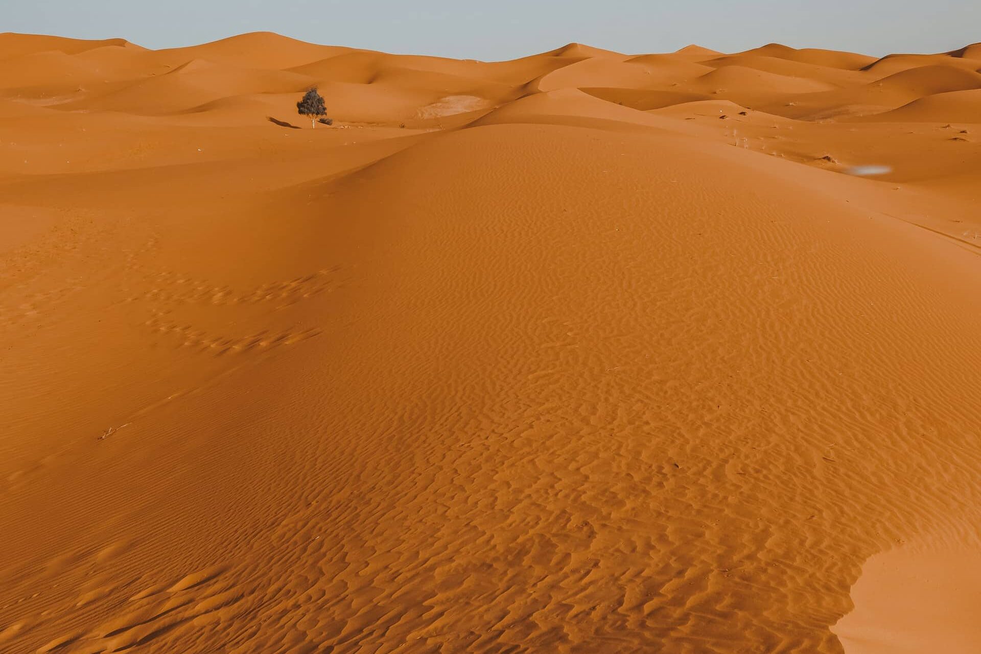 Top 10 Famous Deserts In The World You Must Explore 3 Sahara Desert Famous Deserts In The World