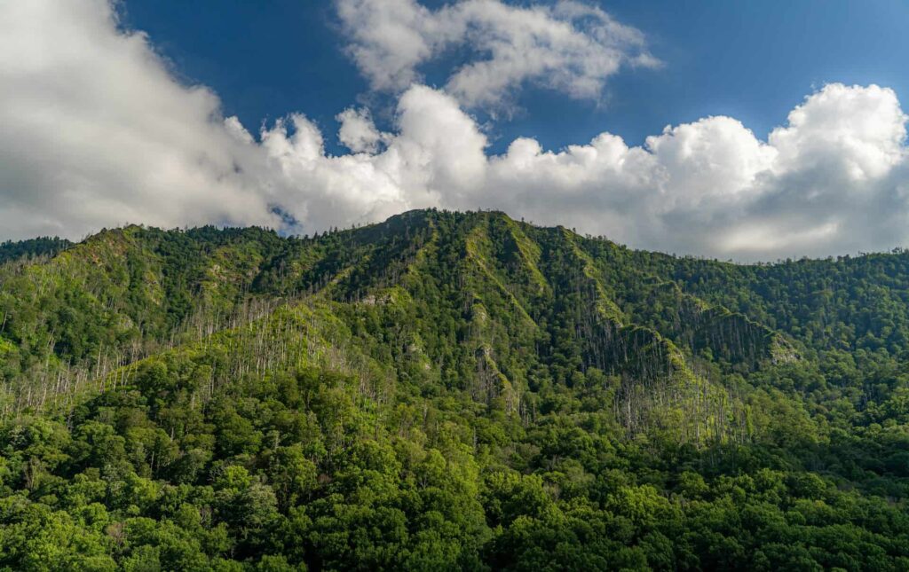 Top 10 Amazing East Coast National Parks Everyone Should Visit 5 Great Smoky Mountains National Park