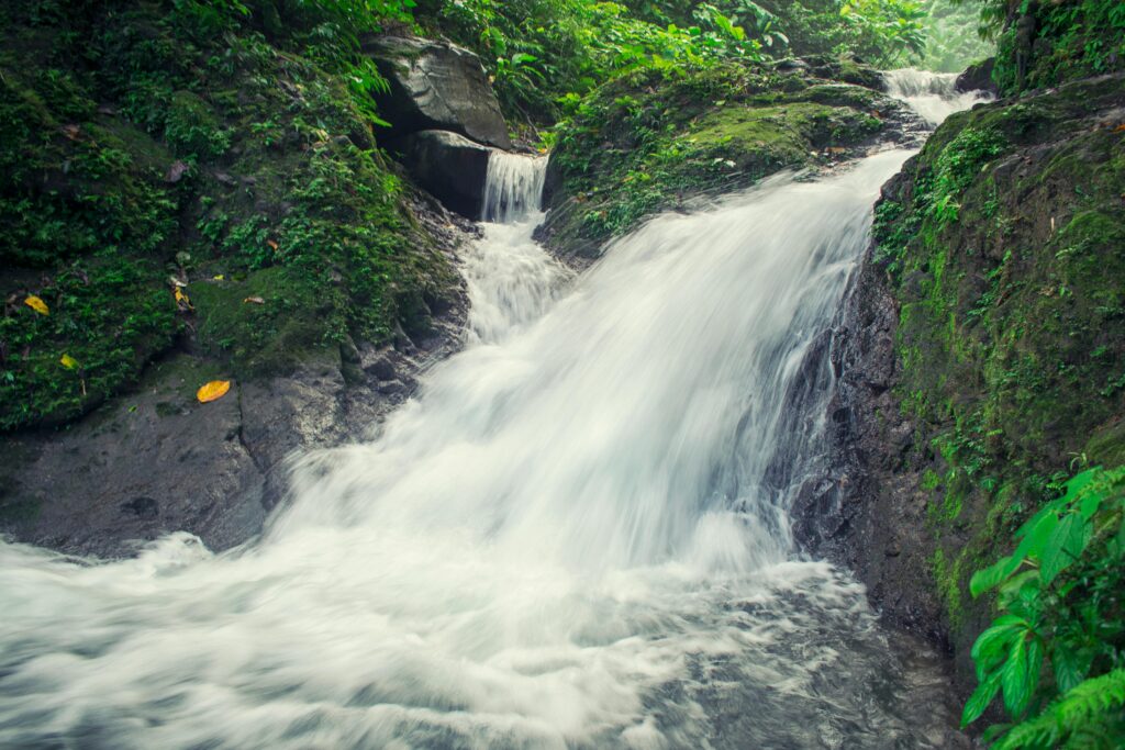 Top 10 Places to Visit in Monsoon in India 2 pexels chiecharon 938255 min