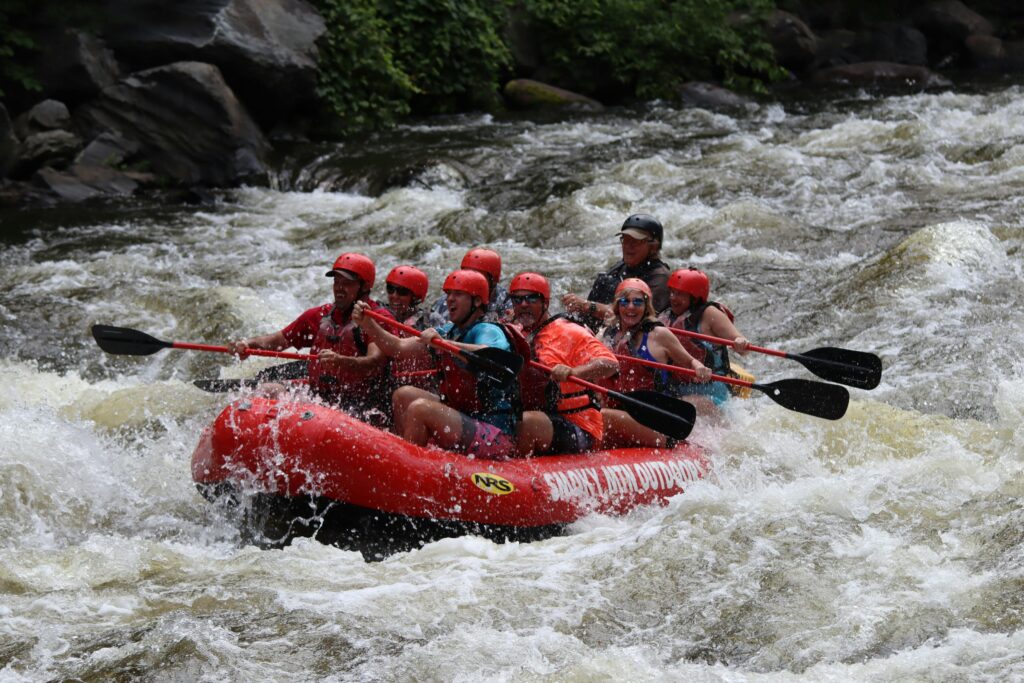 Top 10 Monsoon Destinations in Karnataka 7 pexels greg harris 156926011 10719718 min