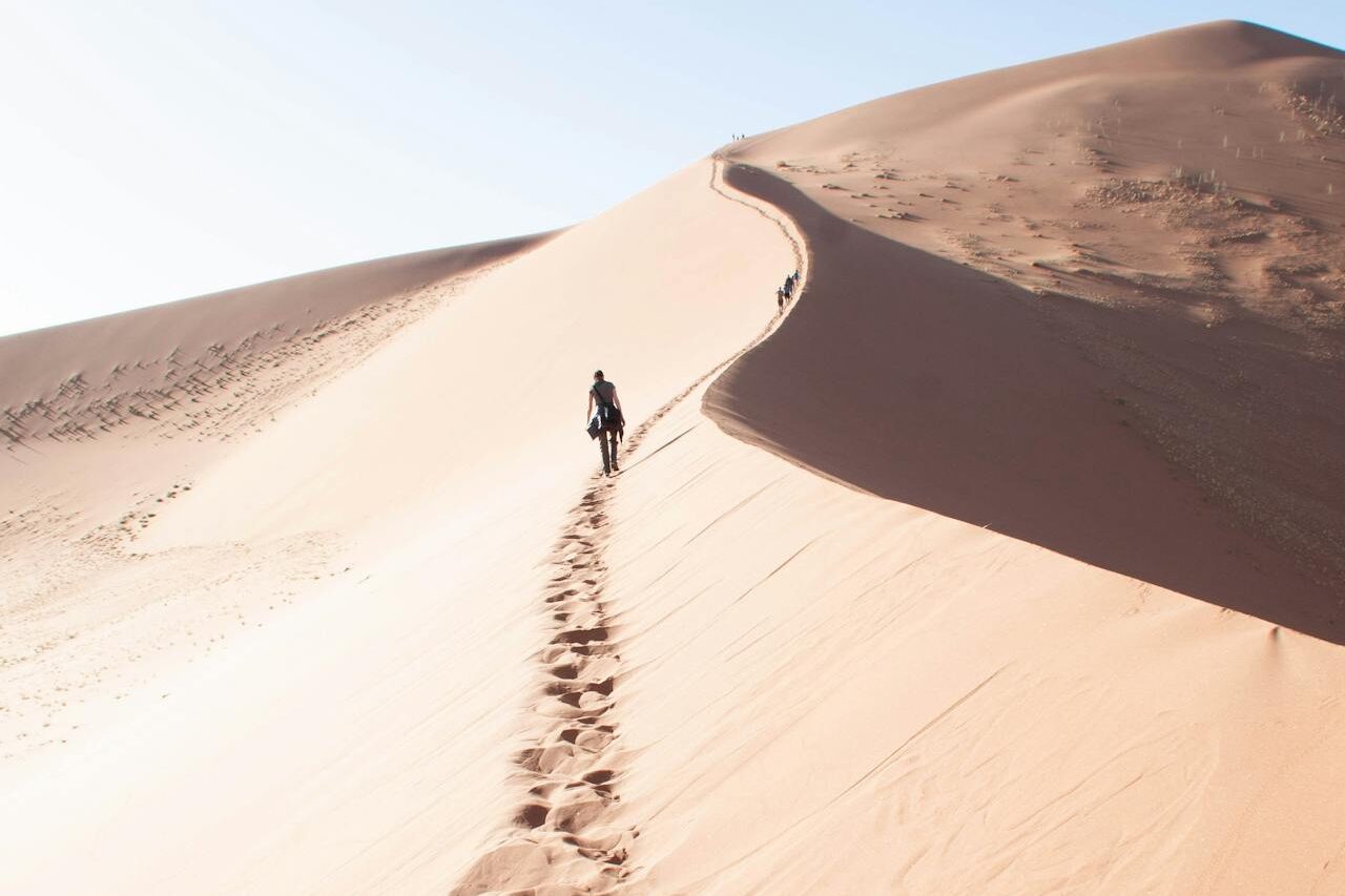 Top 10 Famous Deserts In The World You Must Explore 1 Namib Desert