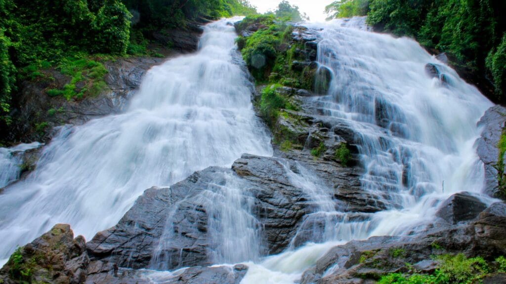 Top Tourist Places in Kerala for 2 Days: A Perfect Getaway into Nature 2 pexels nandhukumar 457538 min