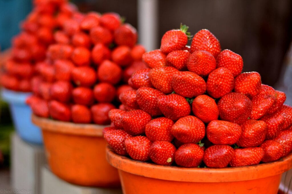 Top 10 Places to visit in Mahabaleshwar: A Complete Guide for Travelers 6 pexels neel upadhyay 10708 7050068 min