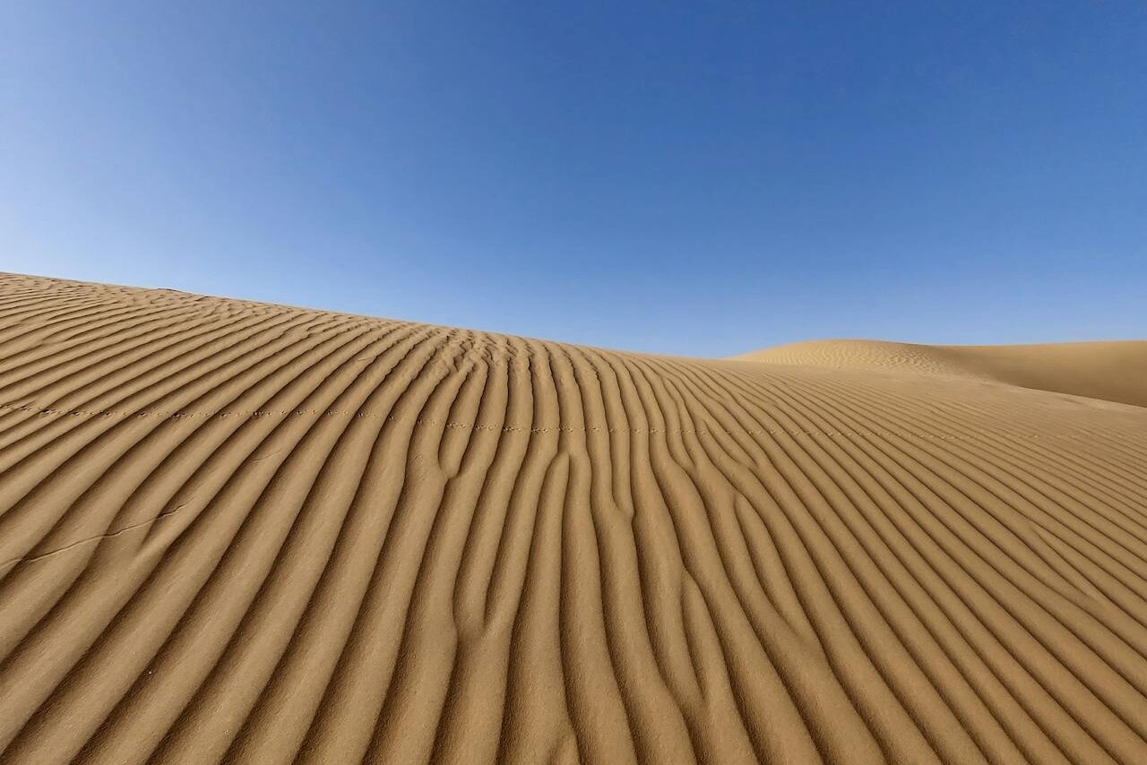 Top 10 Famous Deserts In The World You Must Explore 6 Thar Desert
