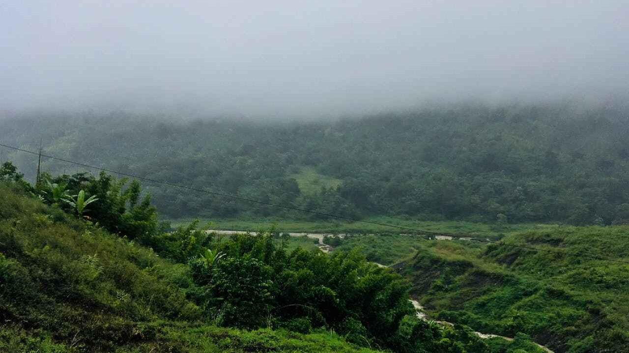 Best Monsoon Destinations in India to Explore in July 2025 2 pexels sdas 974411 11zon edited