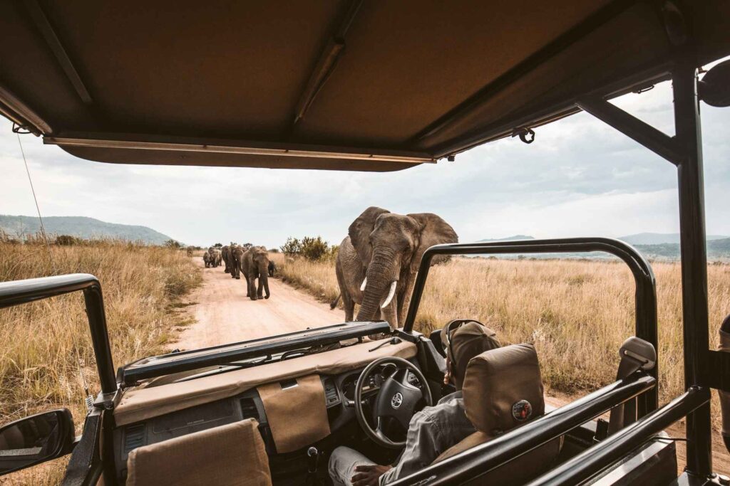 Best Eco-Friendly Travel Experiences 5 Eco