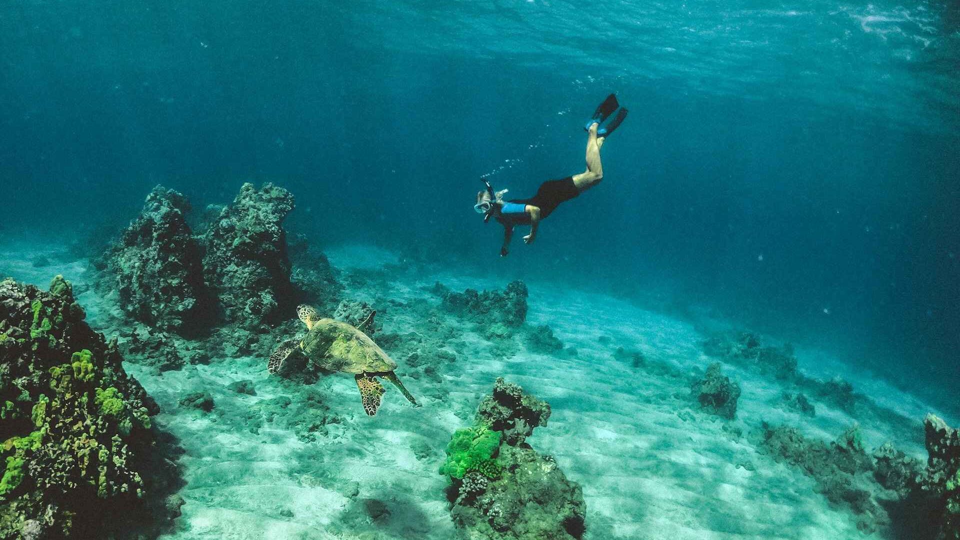 10 Free Things to Do in Maui 3 Free Things to Do in Maui
