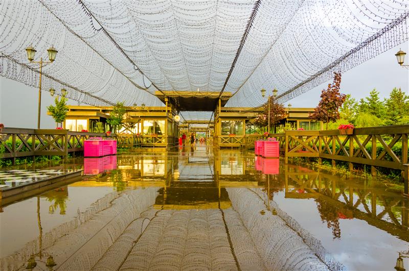 Magical Wedding Destinations in India That Will Make Your Big Day Epic 4 Nature's Wedding Chapel