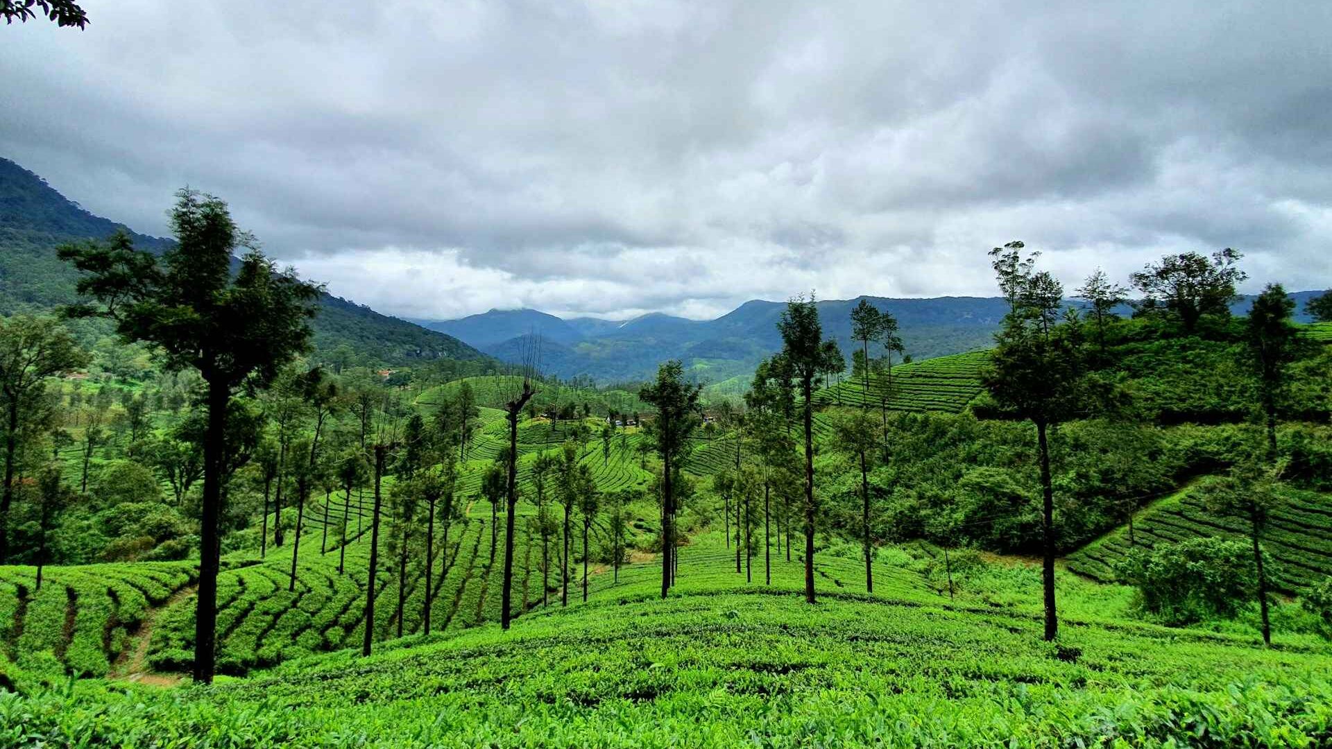 Best Weekend Getaways from Bangalore for a Quick Summer Break 2 vishnu vk hGEoZMCGeB8 unsplash 11zon edited
