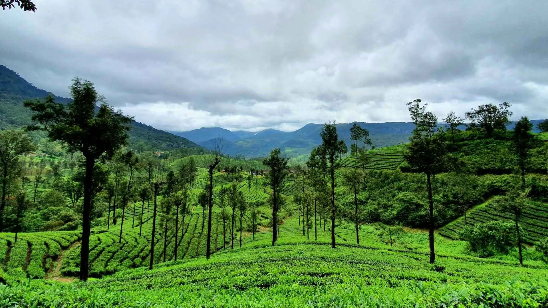 Best Weekend Getaways from Bangalore for a Quick Summer Break 2 vishnu vk hGEoZMCGeB8 unsplash 11zon edited
