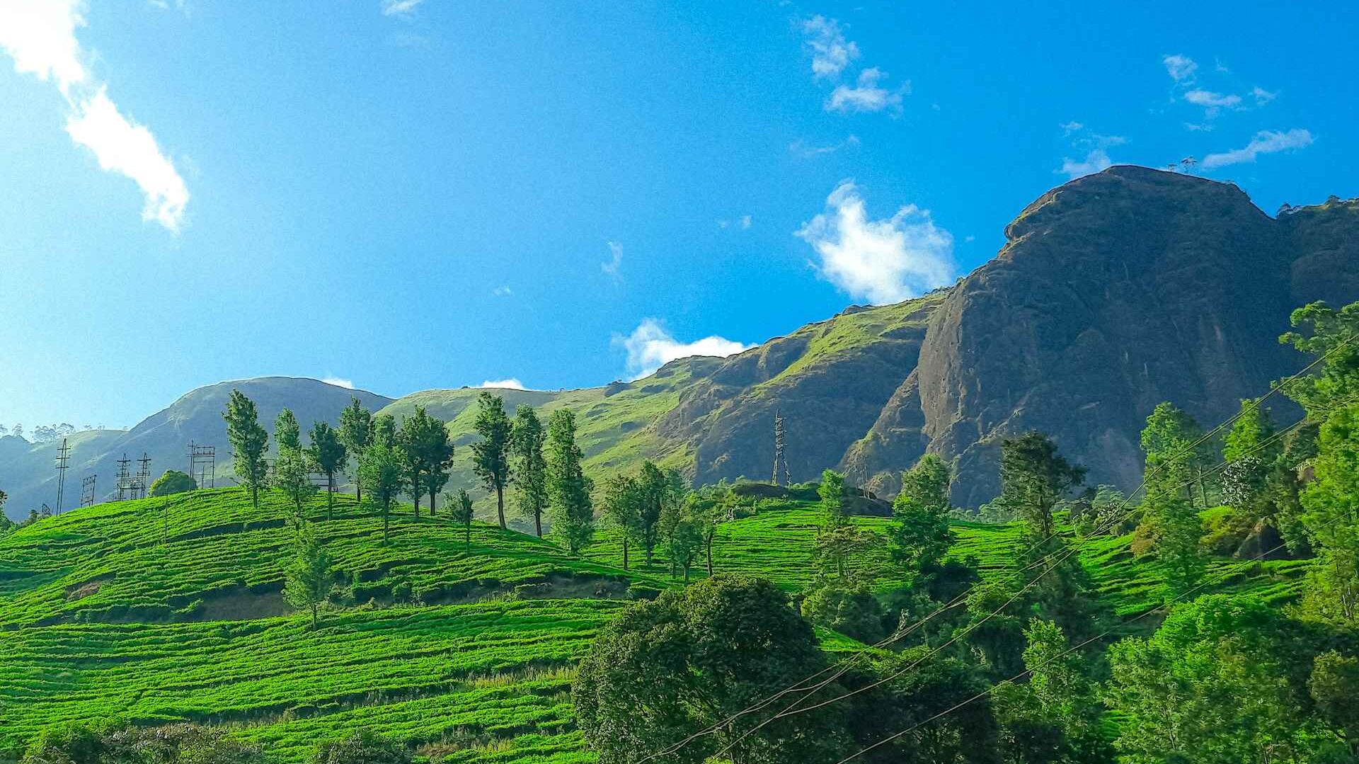 Coolest Places in India to Escape the Heat This June 2 zablanca clicks JSM39nD0i 8 unsplash 11zon edited
