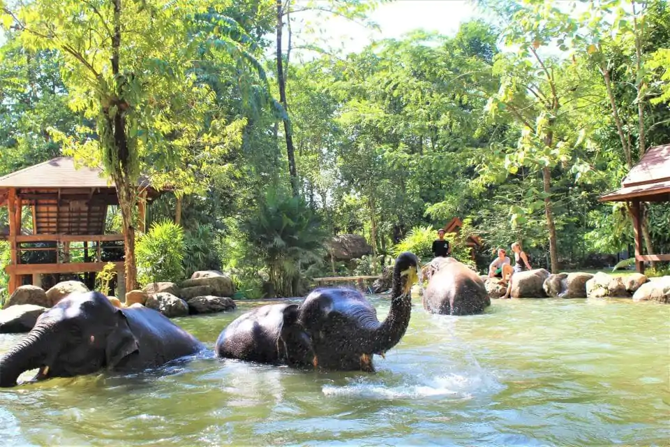 Ethical Elephant Sanctuary Near Ao Nang 1
