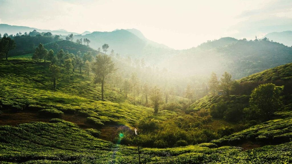 Best Places in South India for a July Vacation – Monsoon Views & Peace 4 anil jose xavier Qb8cxypbx8s unsplash 11zon