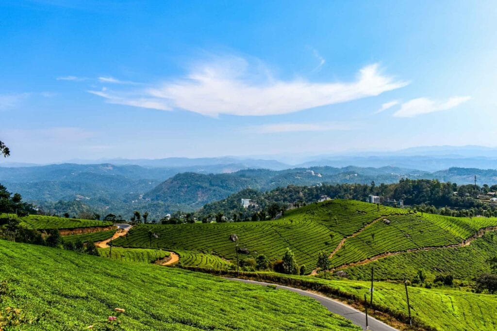 Best Places in South India for a July Vacation – Monsoon Views & Peace 1 gaurav kumar vAFqjkz0oPQ unsplash 11zon