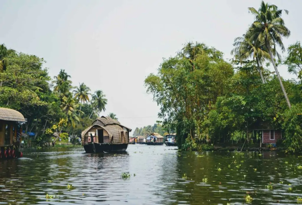 Best Places in South India for a July Vacation – Monsoon Views & Peace 3 kunal kalra 1OWl1 gtCZw unsplash 11zon