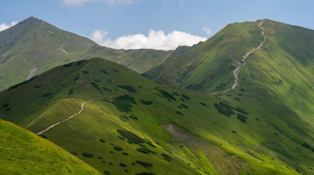 Romantic Hill Station Escapes in India for Couples – June & July Edition 5 pexels daniel trylski 12992776 min