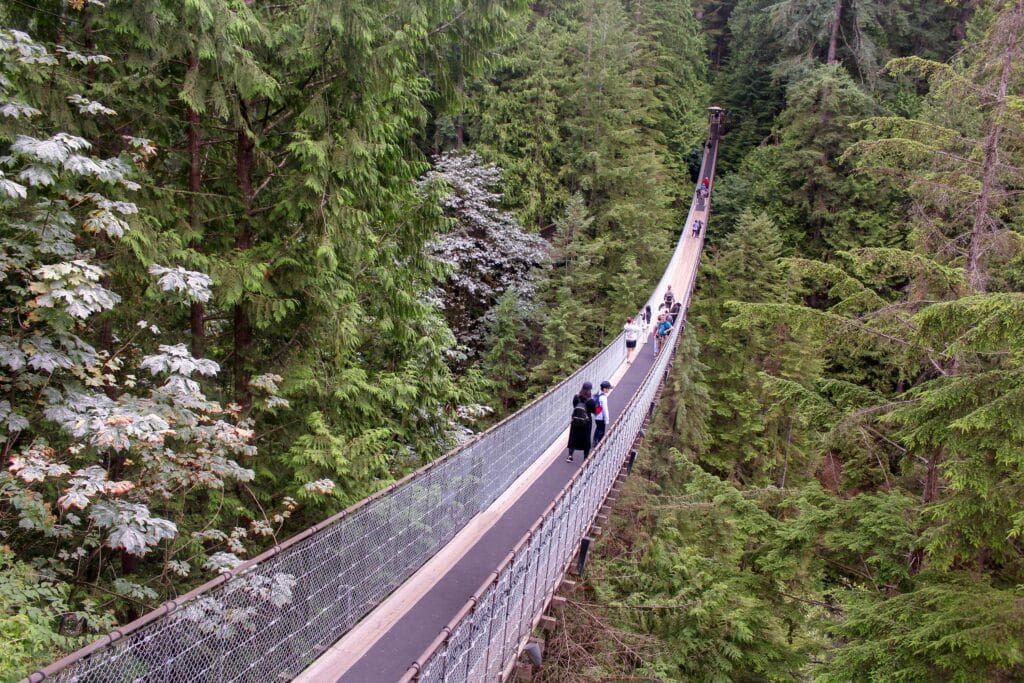 Top 10 Unbelievable Bridges in the World That Will Blow Your Mind 8 pexels hyukman kwon 2542429 15268178 min
