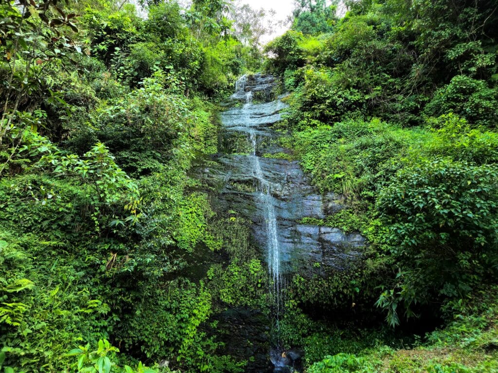 Best Time to Visit Darjeeling: A Complete Travel Guide 4 pexels sabyasachi das 45419624 29066706 min