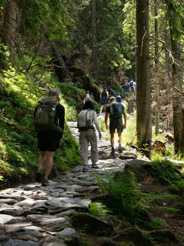 Top 5 Monsoon Treks in Maharashtra You Must Experience