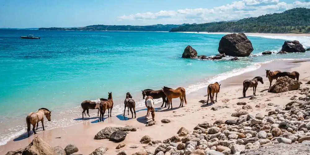 Hidden Gems of Indonesia: Quiet Island Escapes Better Than Bali 2 sumba indonesia