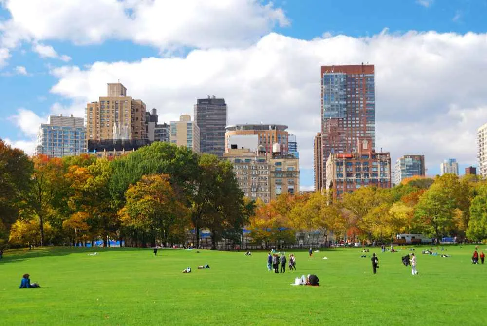 My New York City Trip: Best Things We Actually Did 3 Central Park