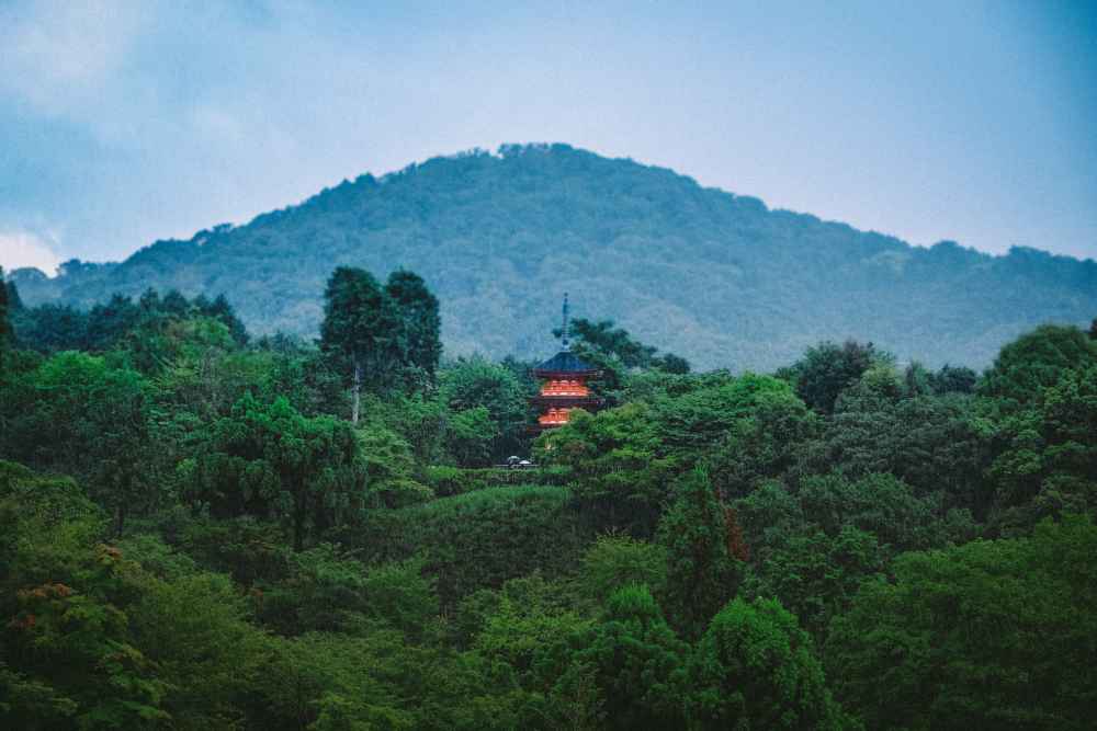 Zhangjiajie Avatar Mountains: Complete Guide to China's Floating Peaks 1 Zhangjiajie Avatar Mountains