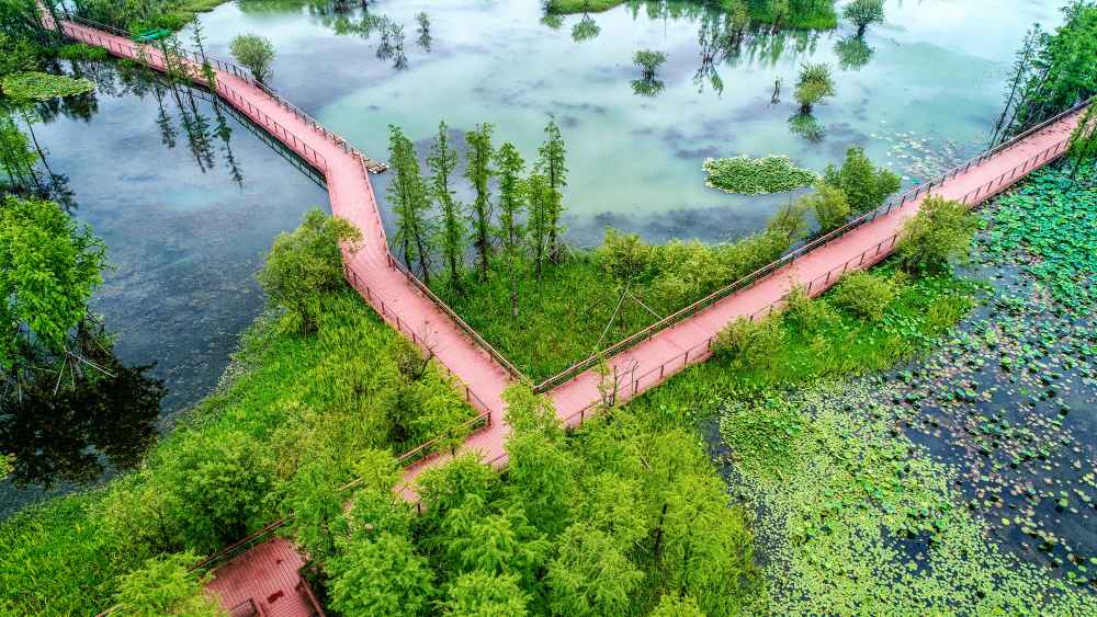 Zhangjiajie Avatar Mountains: Complete Guide to China's Floating Peaks 6 Zhangjiajie Avatar Mountains