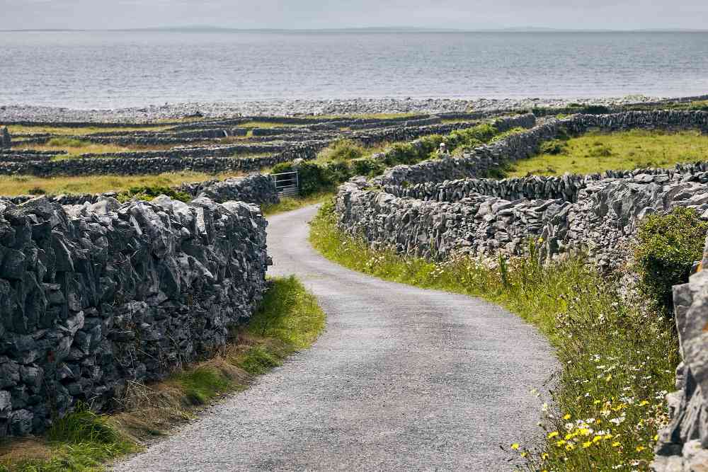Hidden UK Motorcycle Routes & Vlog Spots 6 The North York Moors Moorland Loop