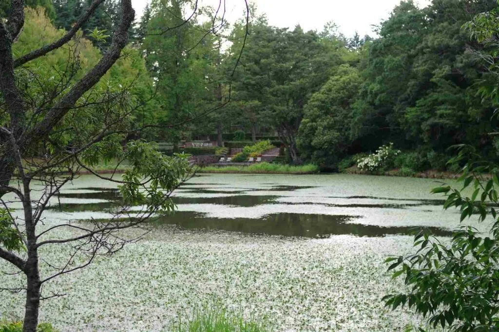 Yugawara Onsen My Peaceful Escape Into Japan’s Timeless Hot Spring Town 1 naoki suzuki smNdUY hq04 unsplash 11zon