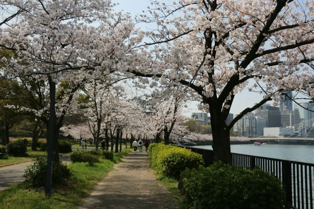 Best Places To Visit In Osaka 3 yasuto takeuchi A9bMRQ4IfqY unsplash